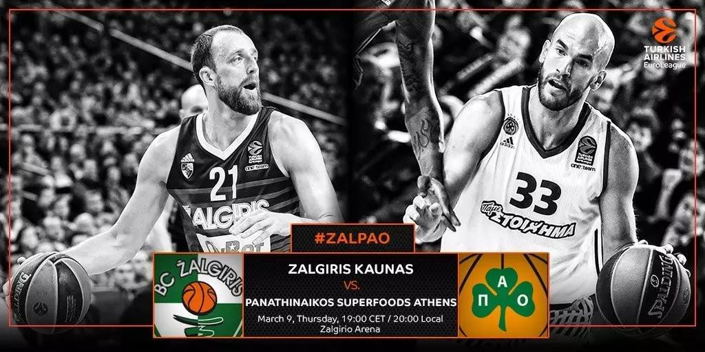 欧篮联倒计时，法兰克福集结日伤情更新，细节引发关注，目标明确，身体对抗强度拉满的简单介绍